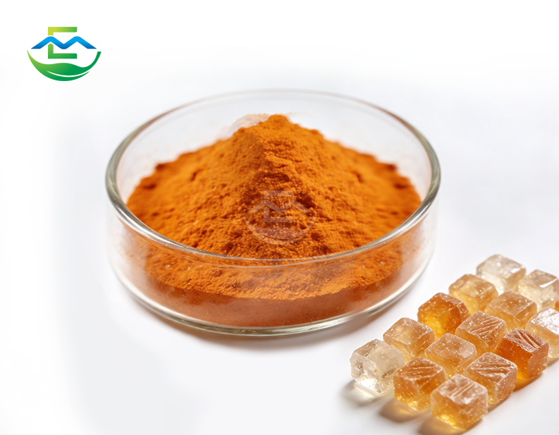 Bioavailable Coenzyme Q10 Ubiquinone